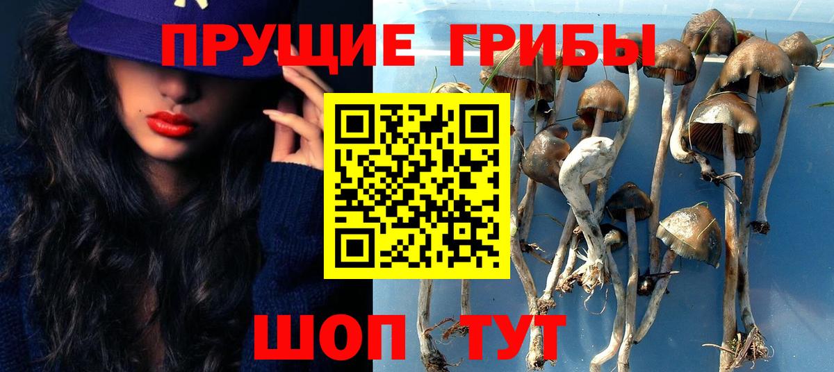Галлюциногенные грибы MAGIC MUSHROOMS Алейск