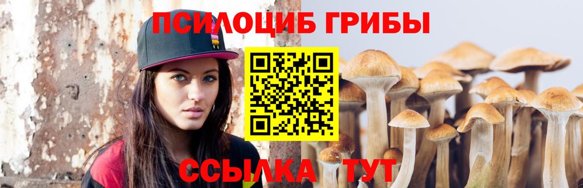 Псилоцибиновые грибы Magic Shrooms  хочу   Алейск  Галлюциногенные грибы Psilocybe  Вход с VPN 